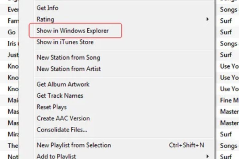 Chọn Show in Finder trên macOS hoặc Show in Windows Explorer trên Windows