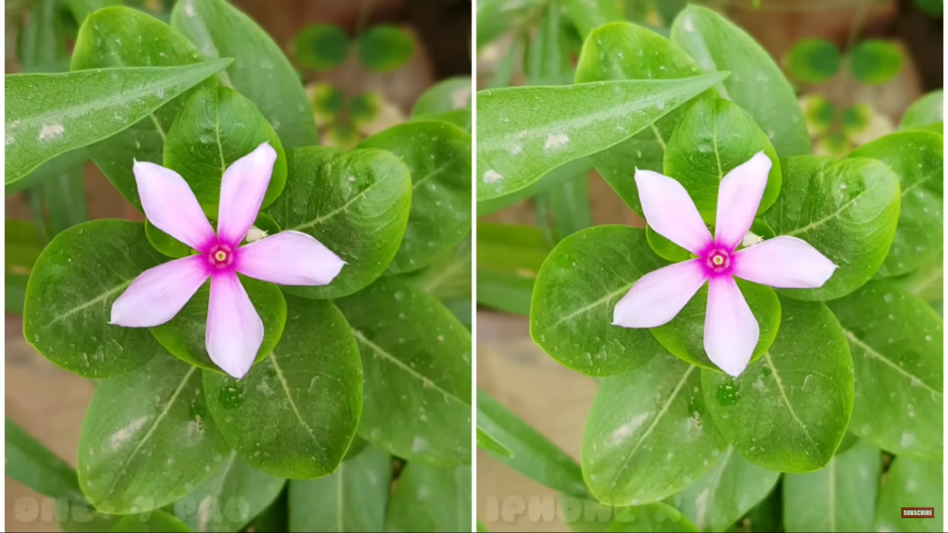 OnePlus 7 Pro 5G vs iPhone X 