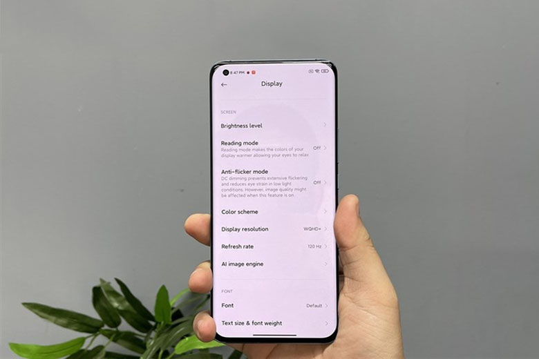 So sánh Xiaomi Mi 11 và iPhone 12 về màn hình