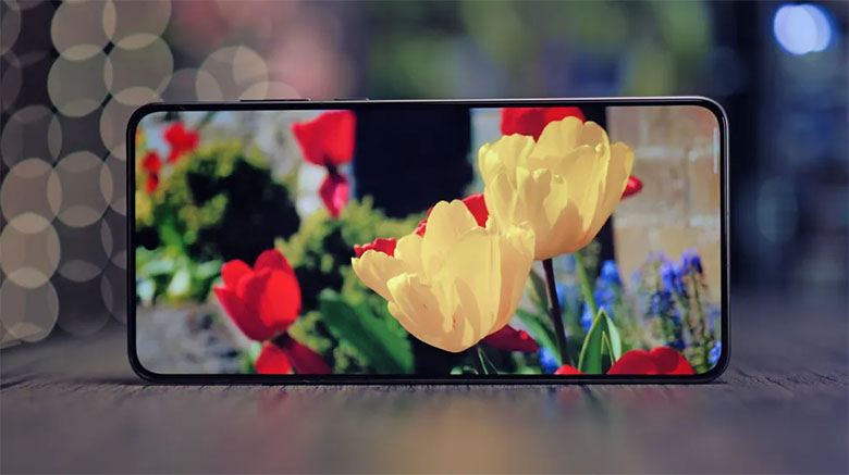 Cả hai flagship đều sử dụng tấm nền AMOLED chất lượng cao với độ phân giải Quad-HD+
