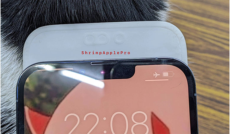 Những thay đổi về thiết kế của iPhone 14 Pro Max được rò rỉ qua mô hình giả