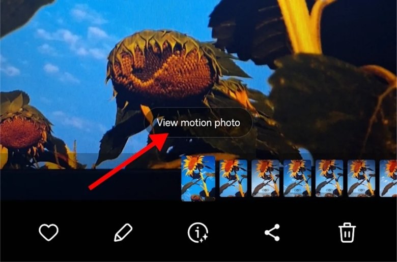 Cách lấy ảnh tĩnh từ Motion Photo trên Samsung
