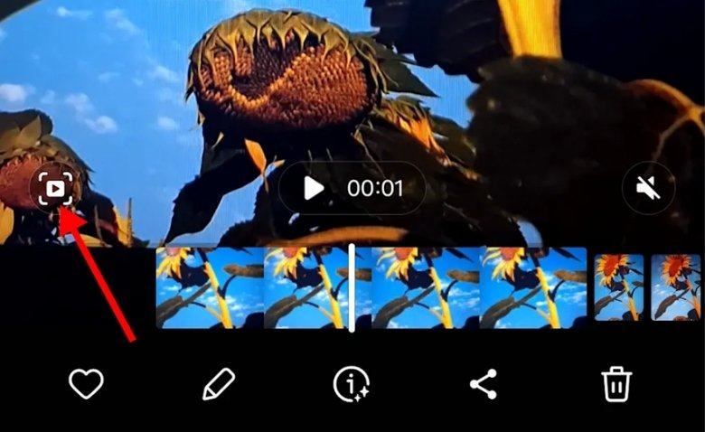 Cách lấy ảnh tĩnh từ Motion Photo trên Samsung