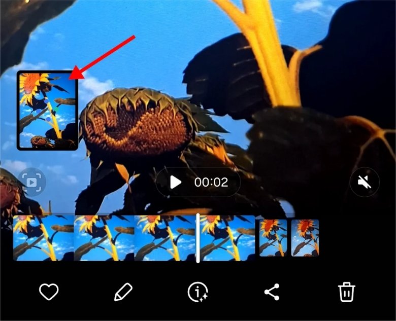 Cách lấy ảnh tĩnh từ Motion Photo trên Samsung