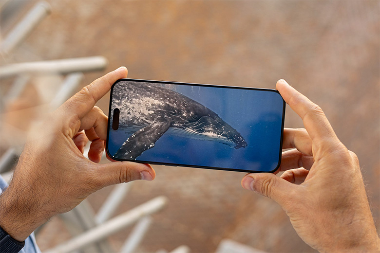 iPhone 16 Pro Max 256GB VN/A giá rẻ được nâng cấp lên màn hình 6,9 inch