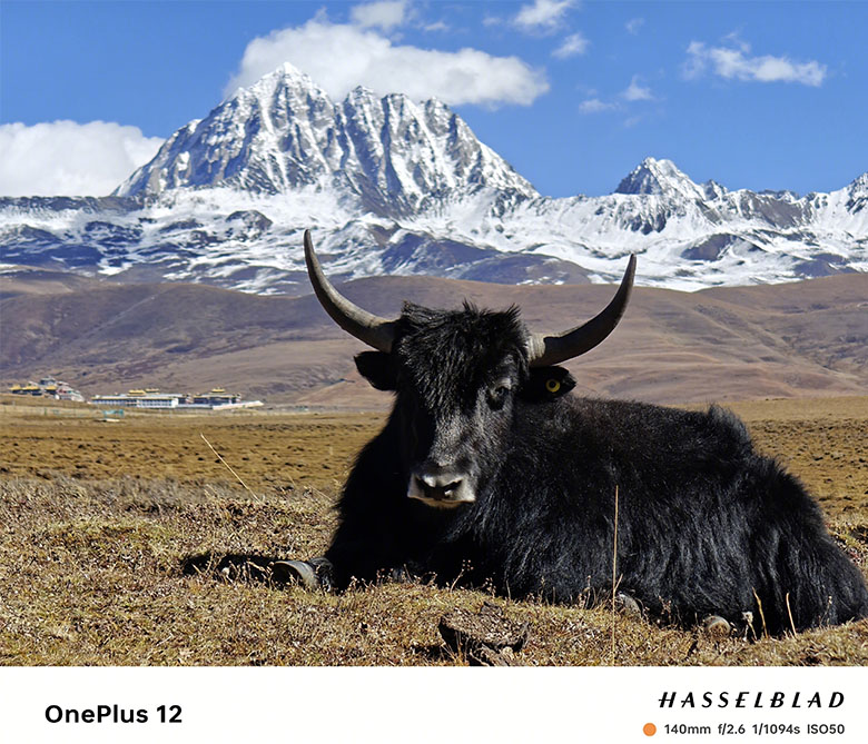 camera-tele-oneplus-xtsmart