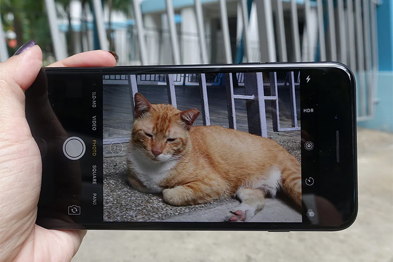 Thử đến gần chủ thể hơn để lấy nét khi chụp ảnh