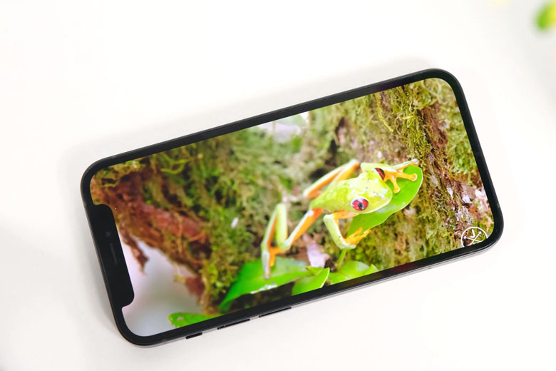 Apple là hãng đã trang bị màn hình OLED cho 4 mẫu iPhone trong năm 2020
