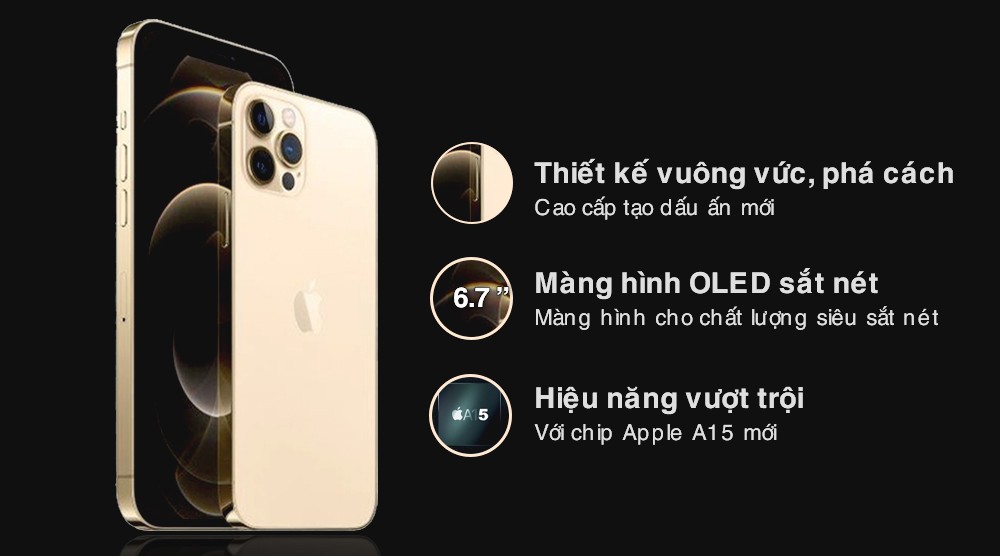 iPhone 12 Pro Max 128GB cũ 99% giá rẻ ...
